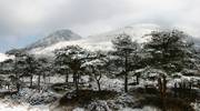 韓国岳と雪景色をモチーフにしましたアスペクト比１６：９のモニター【1366×768】に対応しています