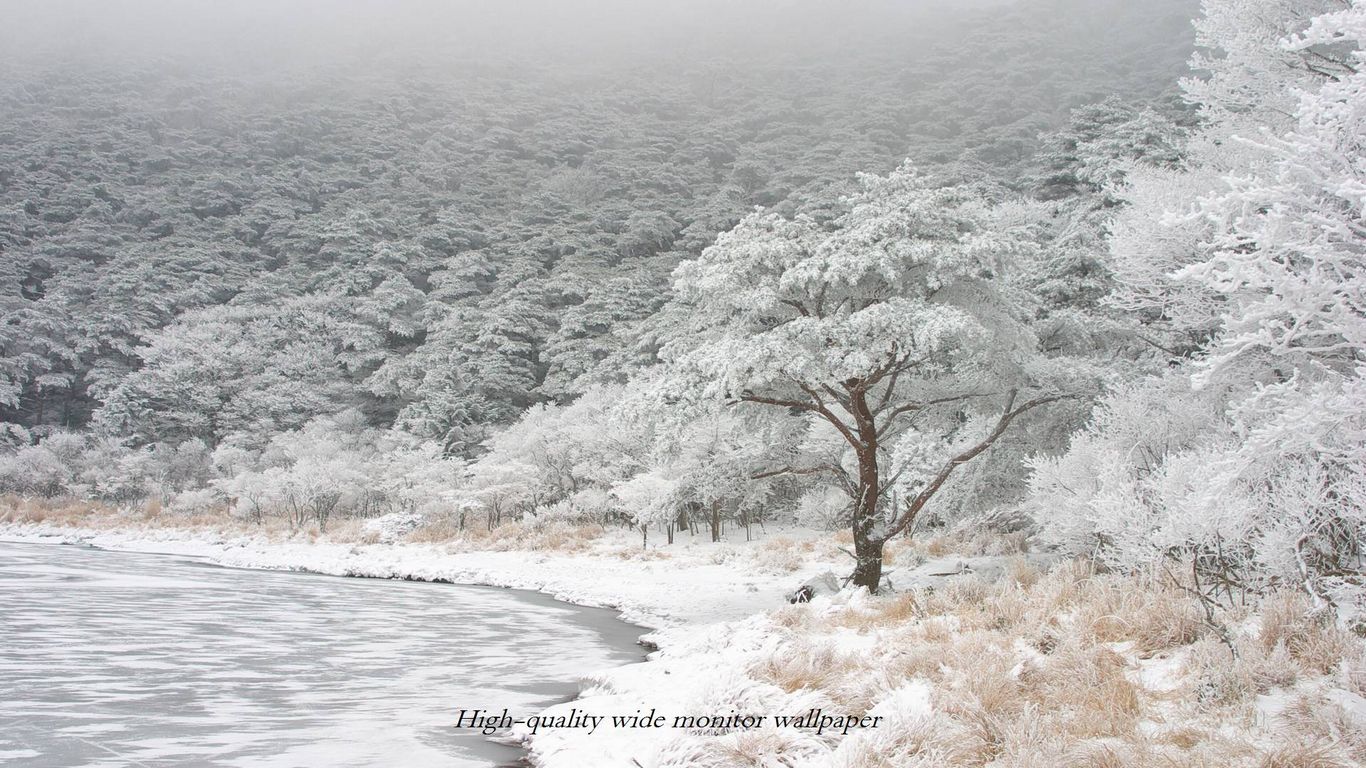 白紫池の冬景色をモチーフにしましたワイドモニター専門高画質壁紙 アスペクト比１６ ９ 1366 768 霧島連山 自然風景 星景写真 花 山野草
