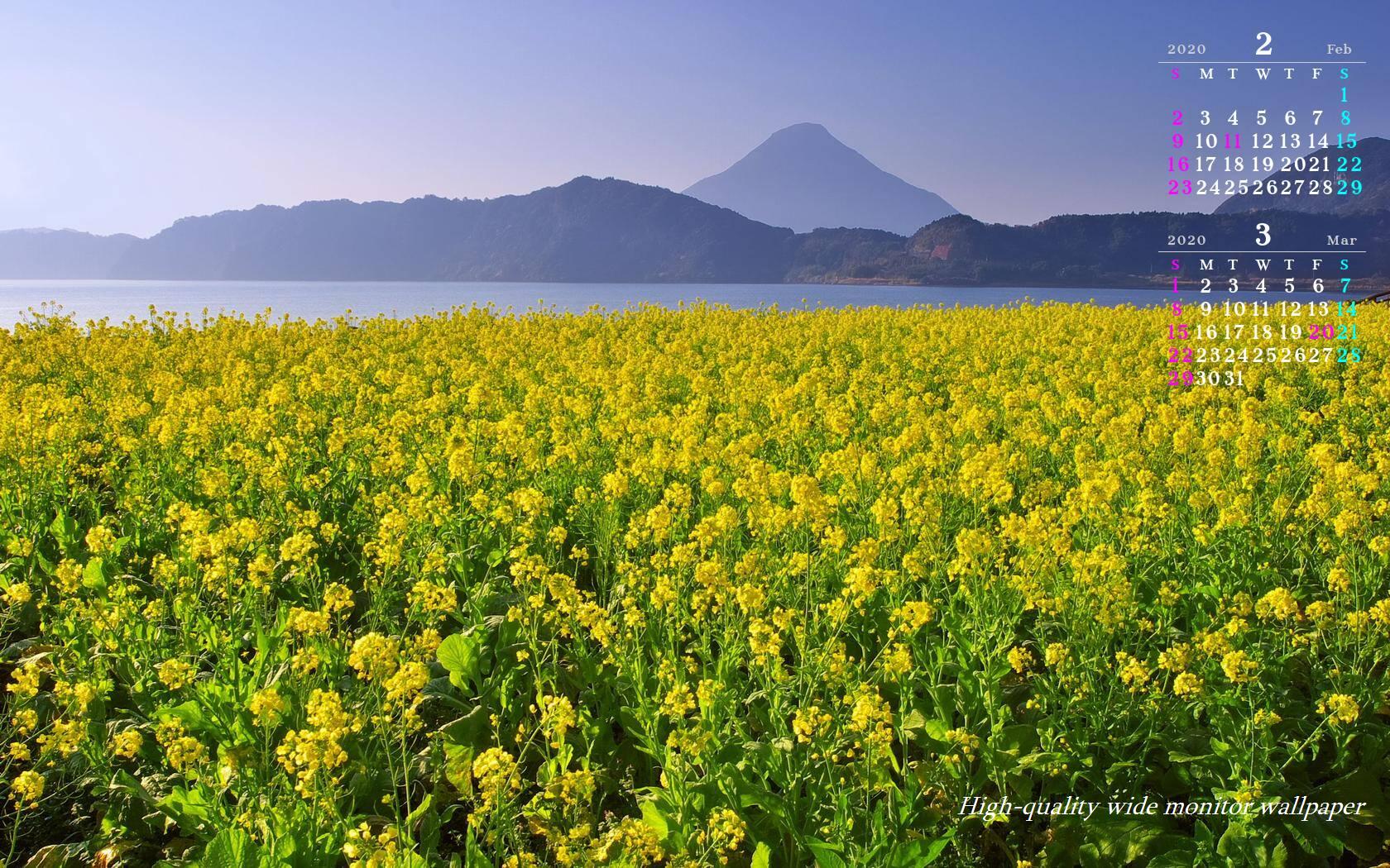 池田湖の菜の花と開聞岳をモチーフにしました2020年2月3月のカレンダー付きワイドモニター高画質壁紙【アスペクト比１６:１０】に対応しています