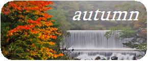秋の自然風景写真壁紙