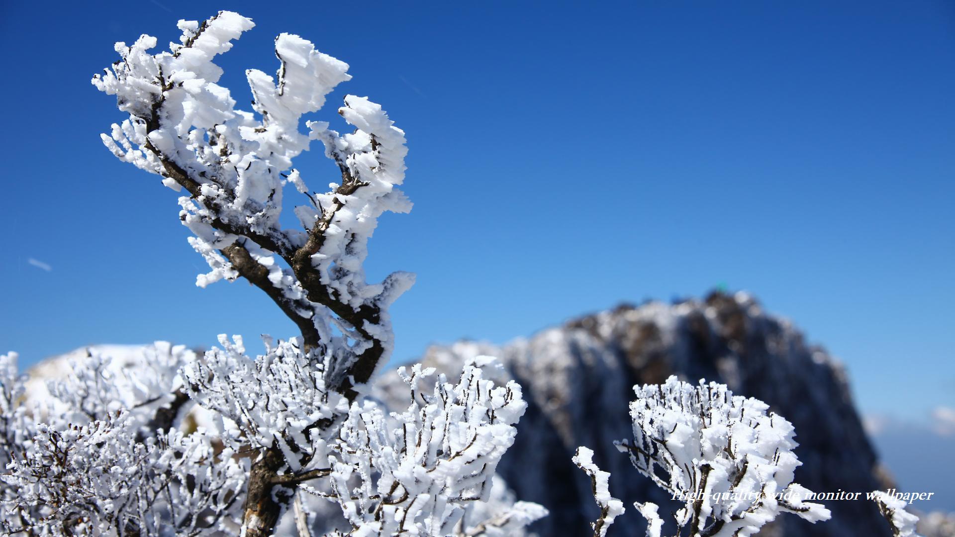 韓国岳山頂の樹氷をモチーフにしましたアスペクト比１６：９のモニター【1920×1080】に対応しています
